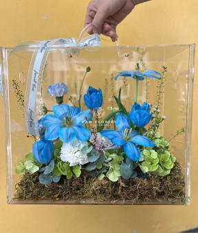 Box MICA Tulip 