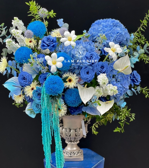 Blue Symphony – Giai điệu xanh của yêu thương