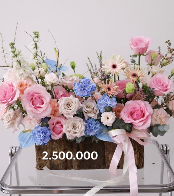 “Sắc Xuân Thượng Hạng – Premium Spring Bloom”