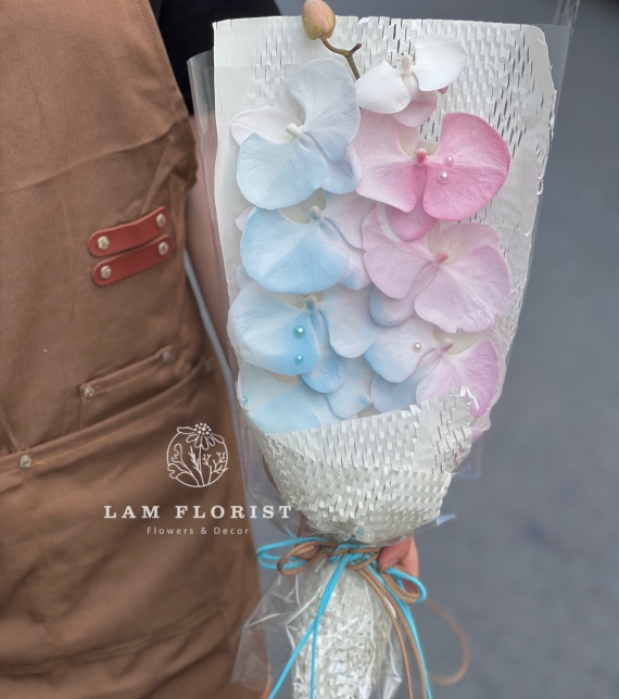 Bó 1 cành Lan Hồ Điệp Thanh Khiết