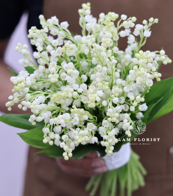 Snowbell Elegance – Thanh Khiết Chuông Tuyết