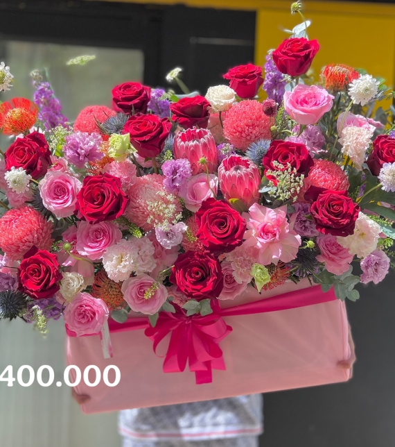 “Hồng Vân Dạ Tiệc – Grand Scarlet Peony Bloom”