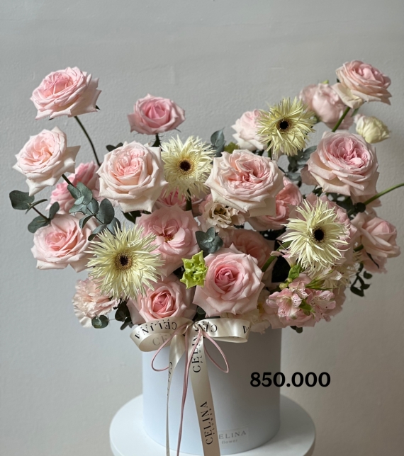 . “Nàng Thơ Thanh Khiết – Pure Muse”