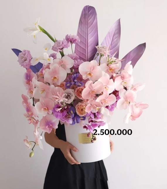 Mystic Orchid Symphony – Giao Hưởng Lan Tím Huyền Bí