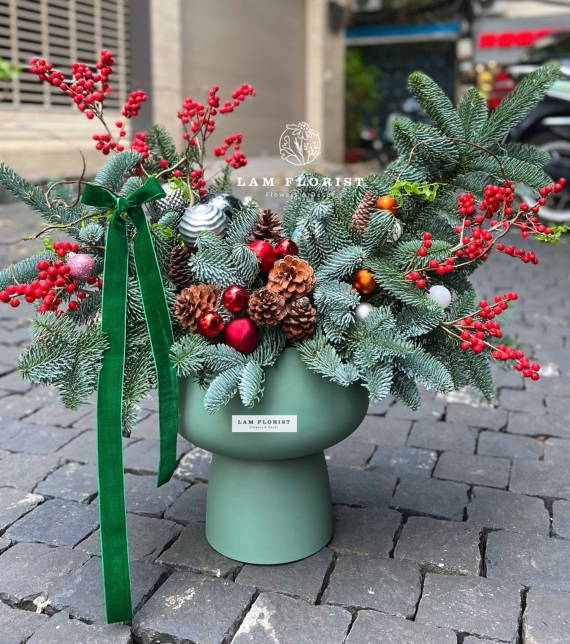 “Nordic Cheer” – Chậu Thông Hân Hoan Bắc Âu