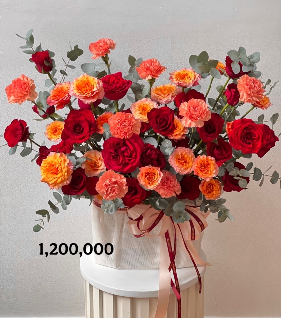  “Hồng Quyền Năng – Scarlet Majesty”