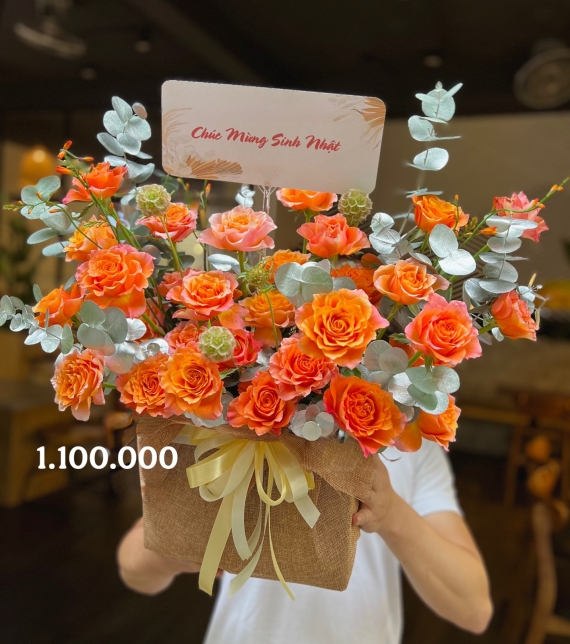 Cam Spirit Thịnh Vượng