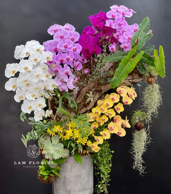 Sắc Ngọc Thiên Nhiên – The Orchid Symphony