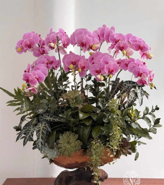 Lụa Lan Hồ Điệp 9 Cành Hồng Cao Cấp – Trang Trí Gỗ Lụa & Cây Xanh