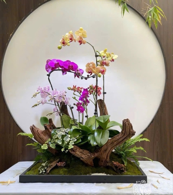 Lụa LAn Hồ Điệp Tiểu Cảnh Cao Cấp