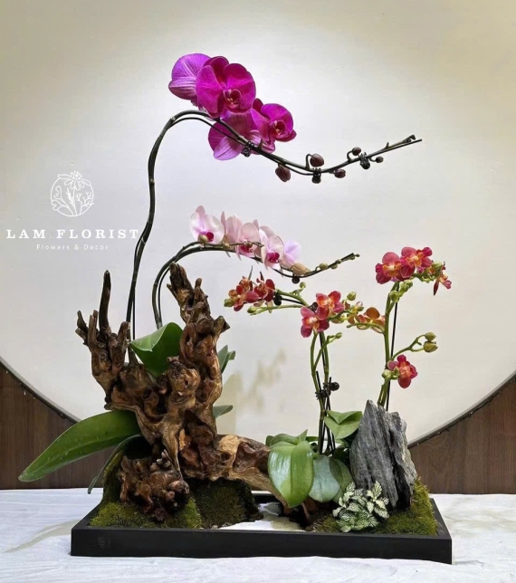 Khay Lụa Lan Tiểu Cảnh Cao Cấp