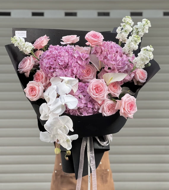 “Serene Elegance – Thanh Âm Của Sự Bình Yên”