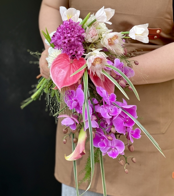  “Dáng Hồng Thác Mộng"