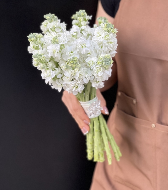 TÌNH SƯƠNG TRẮNG - HOA CƯỚI