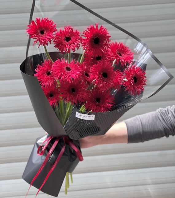 Rực rỡ mỗi ngày- Đồng Tiền Đỏ