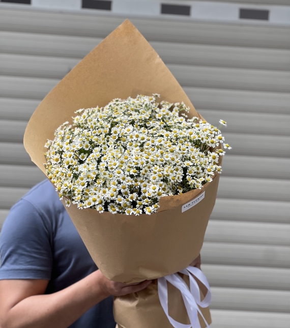 “Tana Melody – Giai Điệu Của Nắng”