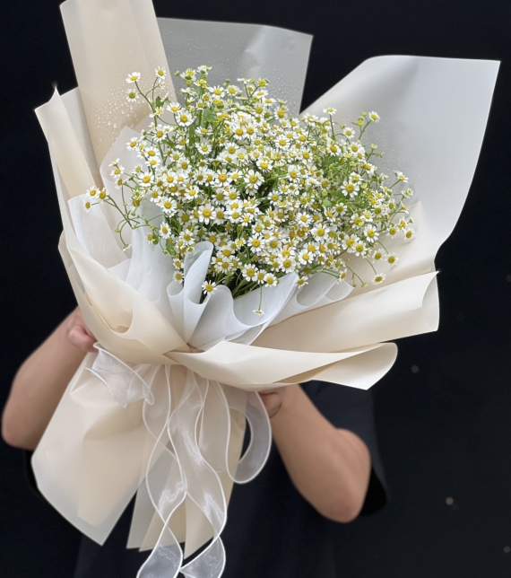 “Tinh Khôi Nắng Sớm” ☀️