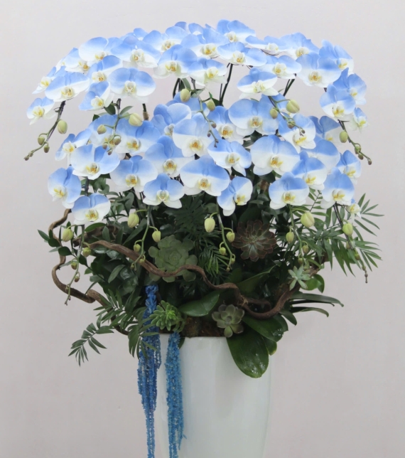  “Emerald Grace – Ngọc Lục Thanh Hoa”