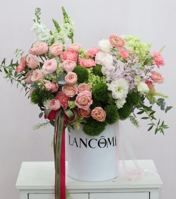 Enchanted Pastel Symphony – Giao Hưởng Sắc Pastel