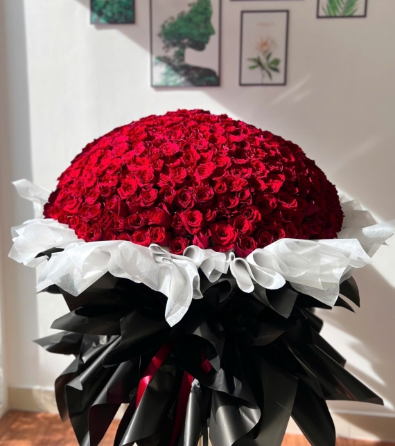 Bó Hồng Ecuador 520 bông "ANH YÊU EM'