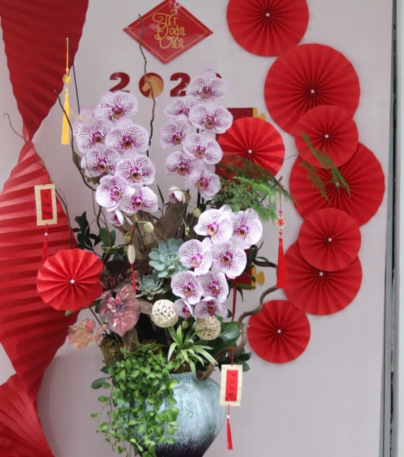 LAN HỒ ĐIỆP TÍM ĐỐM NGỌC – VẺ ĐẸP TINH TẾ, SANG TRỌNG CHO KHÔNG GIAN ĐẦU NĂM