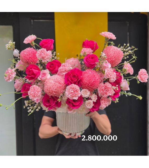 Hồng Vân Tiệc Sắc