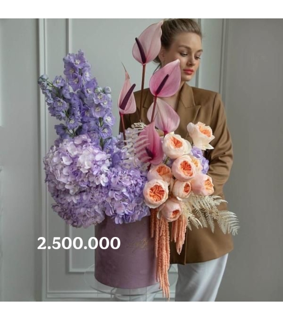 Violet Symphony Garden – Bản Giao Hưởng Tím