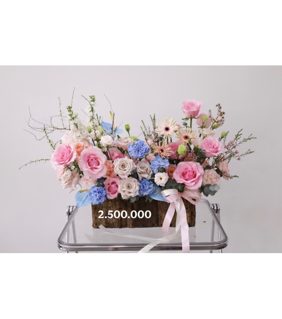 “Sắc Xuân Thượng Hạng – Premium Spring Bloom”