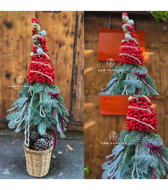  “Santa’s Hat” – Cây Thông Nón Giáng Sinh Đan Mạch