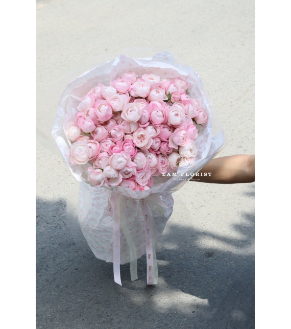 🌸 Pink Plume Symphony – Giai Điệu Hồng Thanh Khiết