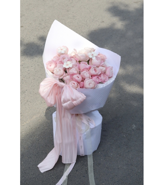 Pink Plume Élysée – Sắc Hồng Kiêu Sa