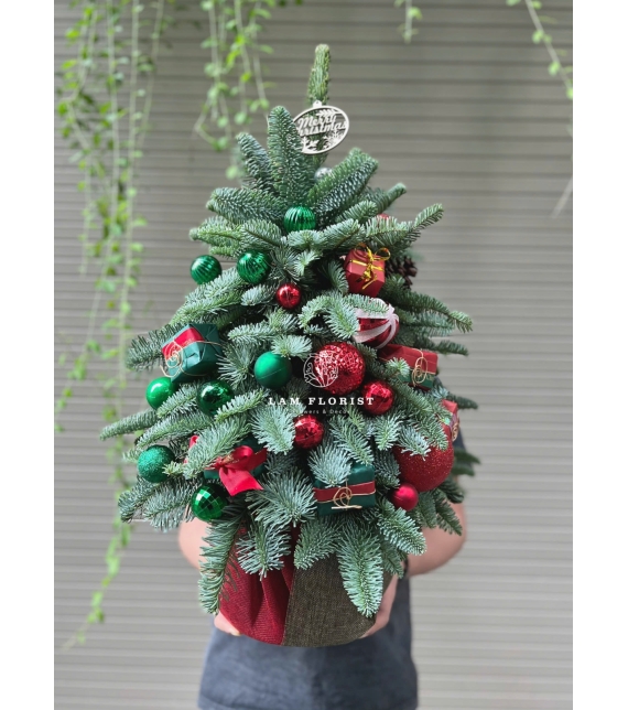  “Emerald Christmas” – Cây Thông Đan Mạch Xanh Ngọc (hoặc tiếng Việt: “Sắc Xanh Giáng Sinh”)