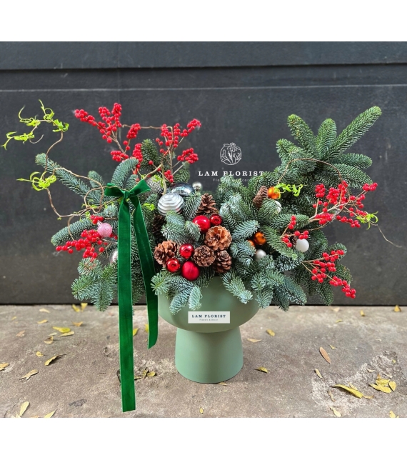 “Nordic Cheer” – Chậu Thông Hân Hoan Bắc Âu