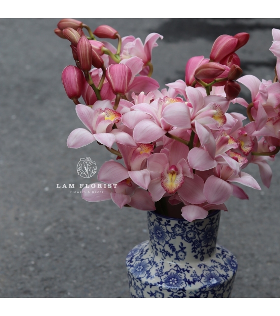 🌸 “Tịnh Sắc Hồng – Bình Địa Lan Thanh Xuân”