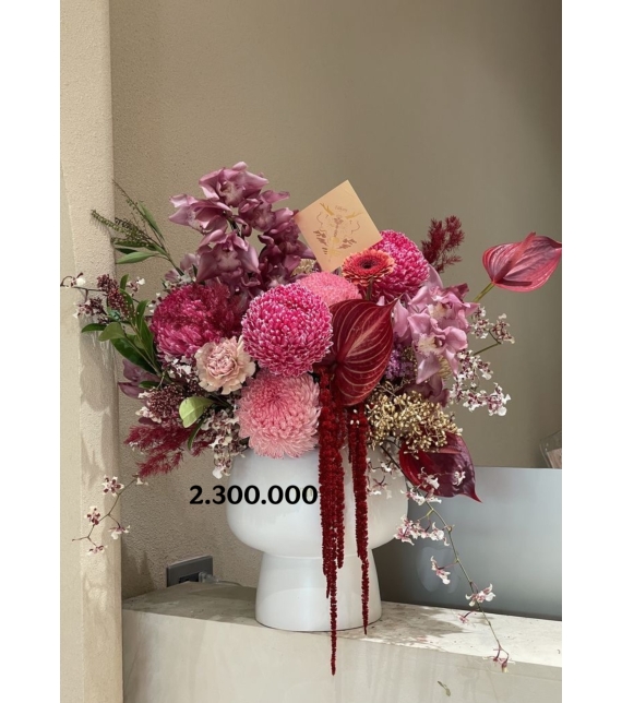 Scarlet Embrace – Vòng Tay Đỏ Quyền Quý