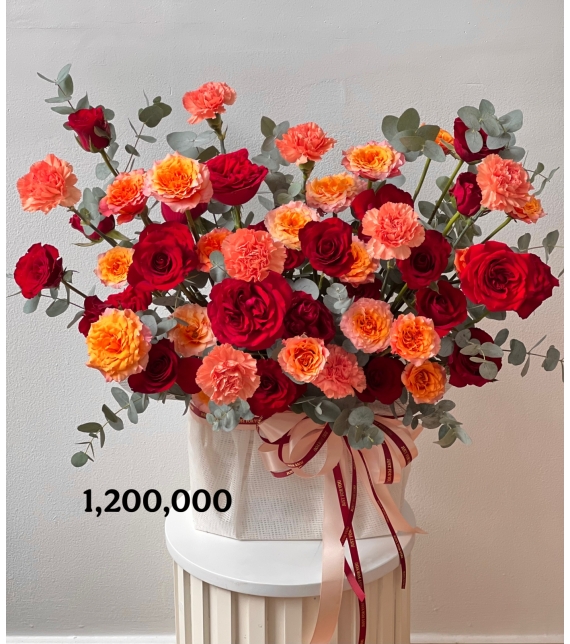  “Hồng Quyền Năng – Scarlet Majesty”