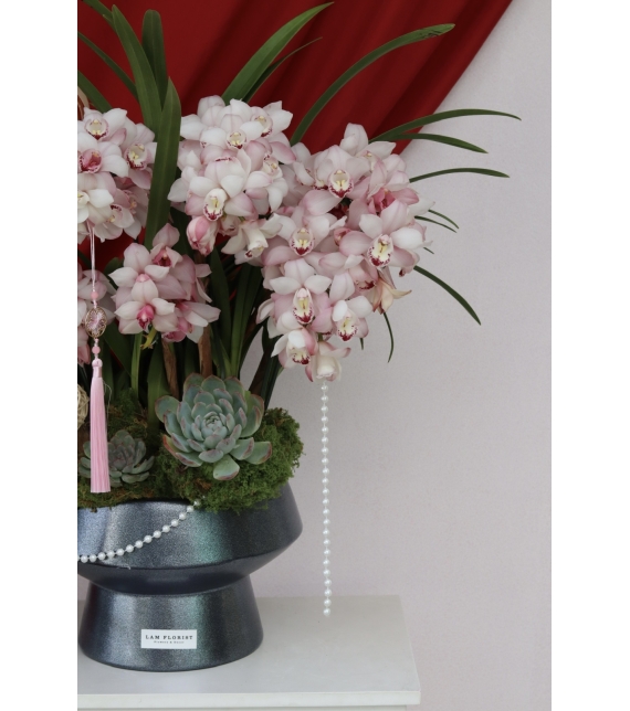 Địa Lan Phú Quý Xuân