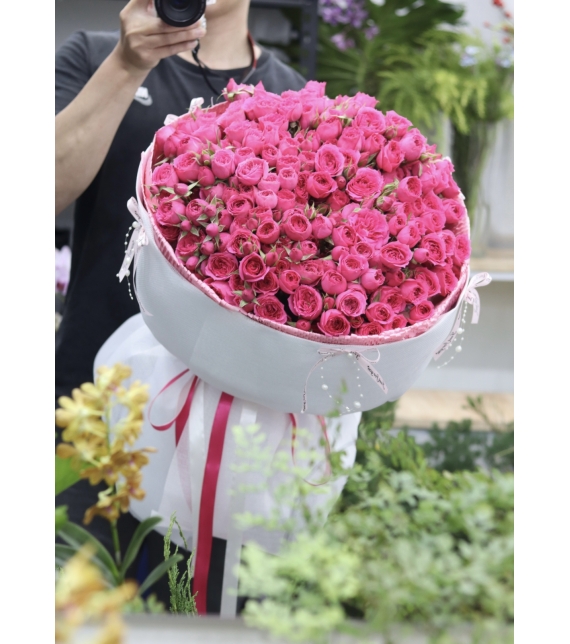 Sofia Royale – Vũ Điệu Hồng Kiêu Hãnh