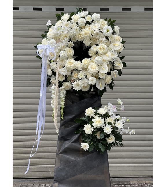 “Niềm Thương Kính – Sắc Trắng Vĩnh Hằng”