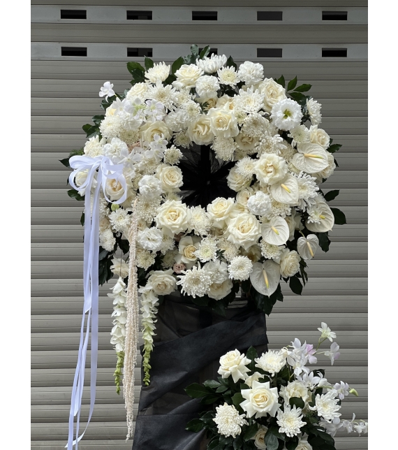 “Niềm Thương Kính – Sắc Trắng Vĩnh Hằng”