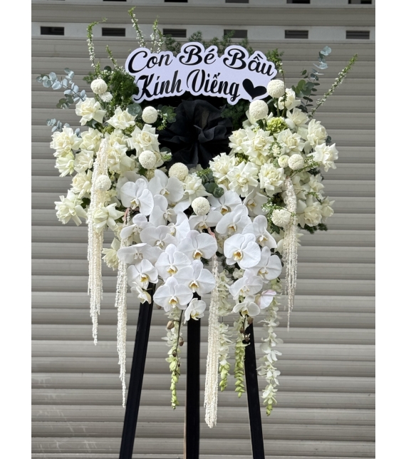 🤍 LỜI TIỄN BIỆT TRONG SỰ THÀNH KÍNH 🤍