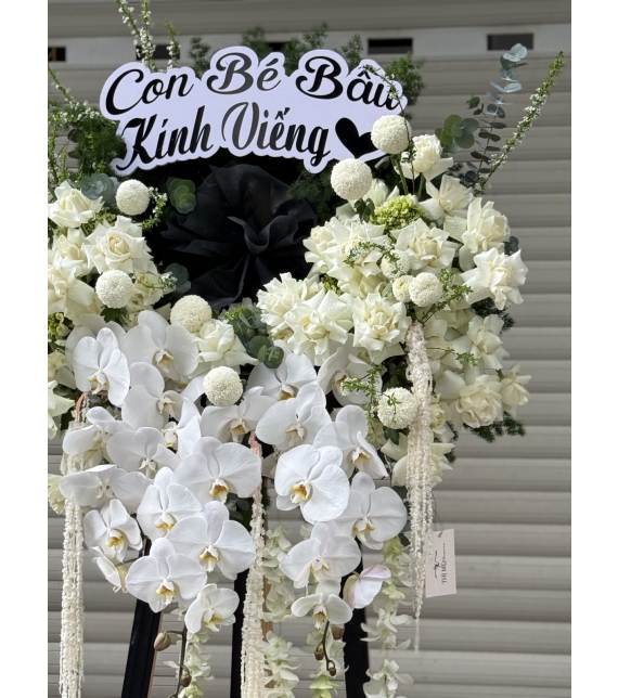 🤍 LỜI TIỄN BIỆT TRONG SỰ THÀNH KÍNH 🤍