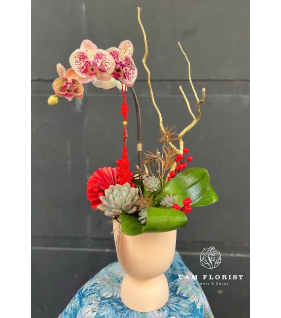 Chậu Hồ Điệp 1 Cành - Happy New Year