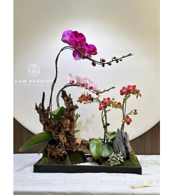 Khay Lụa Lan Tiểu Cảnh Cao Cấp