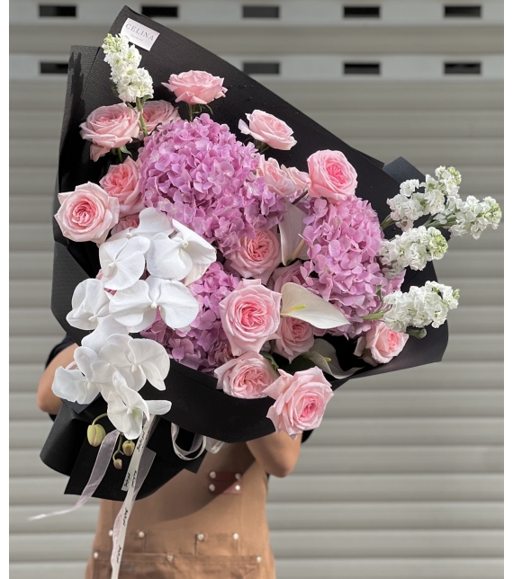 “Serene Elegance – Thanh Âm Của Sự Bình Yên”