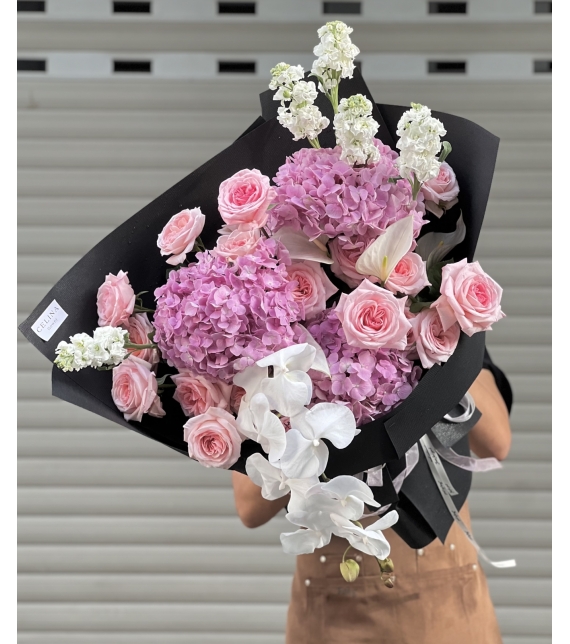 “Serene Elegance – Thanh Âm Của Sự Bình Yên”