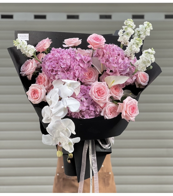 “Serene Elegance – Thanh Âm Của Sự Bình Yên”