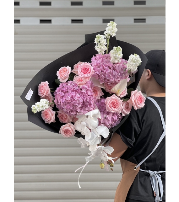 “Serene Elegance – Thanh Âm Của Sự Bình Yên”