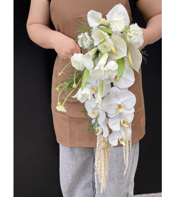 “Dòng Trắng Vĩnh Cửu”