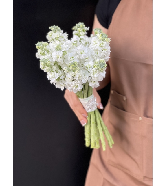 TÌNH SƯƠNG TRẮNG - HOA CƯỚI
